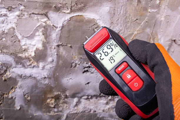 Mold Removal and Inspection in Lucasville, OH