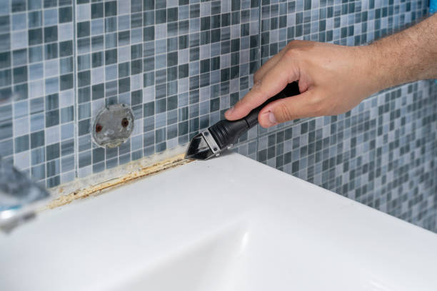 Best Commercial Mold Removal  in Lucasville, OH
