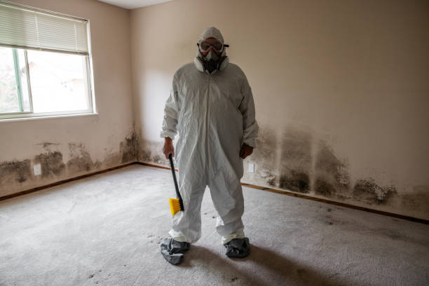 Best Certified Mold Removal  in Lucasville, OH